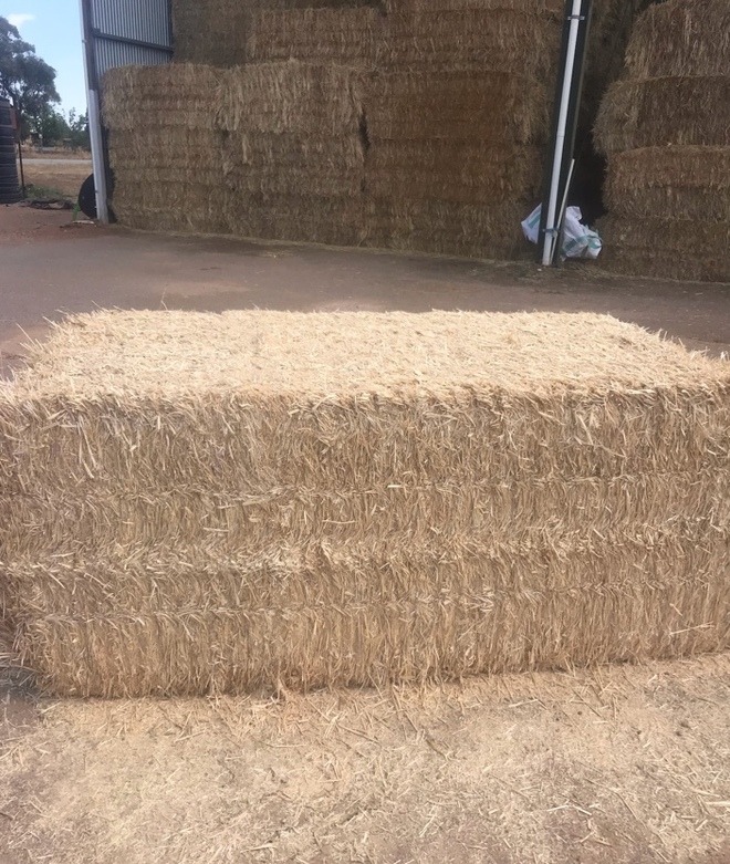 40mt Barley Straw 500kg 8x4x3 Bales Farm Tender